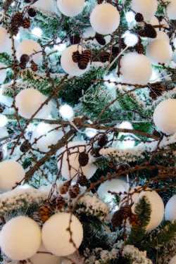 Tänavune jõulupuu on jäiselt valge