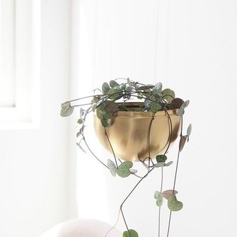 Alkuperä: http://www.designsponge.com/2015/06/diy-hanging-plant-lamp.html